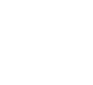 ZJ Logo