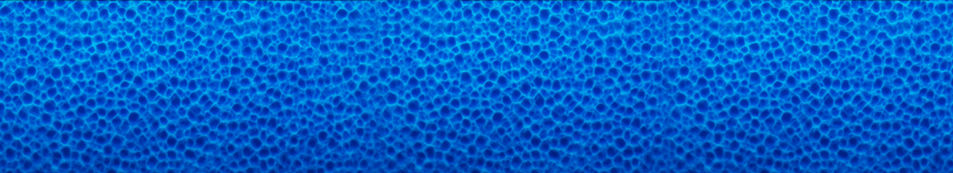 schwammstruktur-herkoemmlicher-feinporiger-schwamm