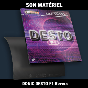 desto-f1-revers