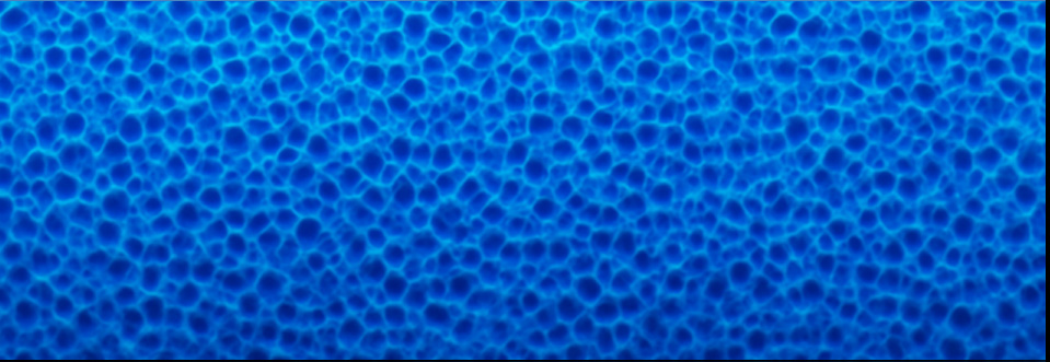 Mittelporige Schwammstruktur