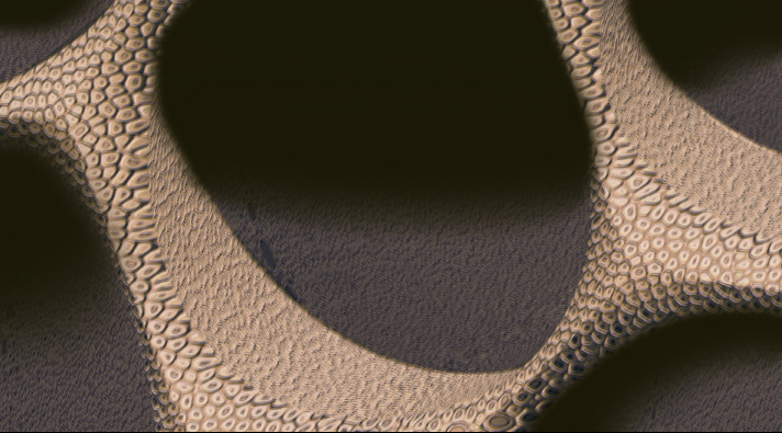 Sponge structure of a conventional covering with coarse pores