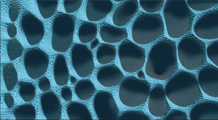 Fine-pored Sponge structure of the Bluegrid rubbers